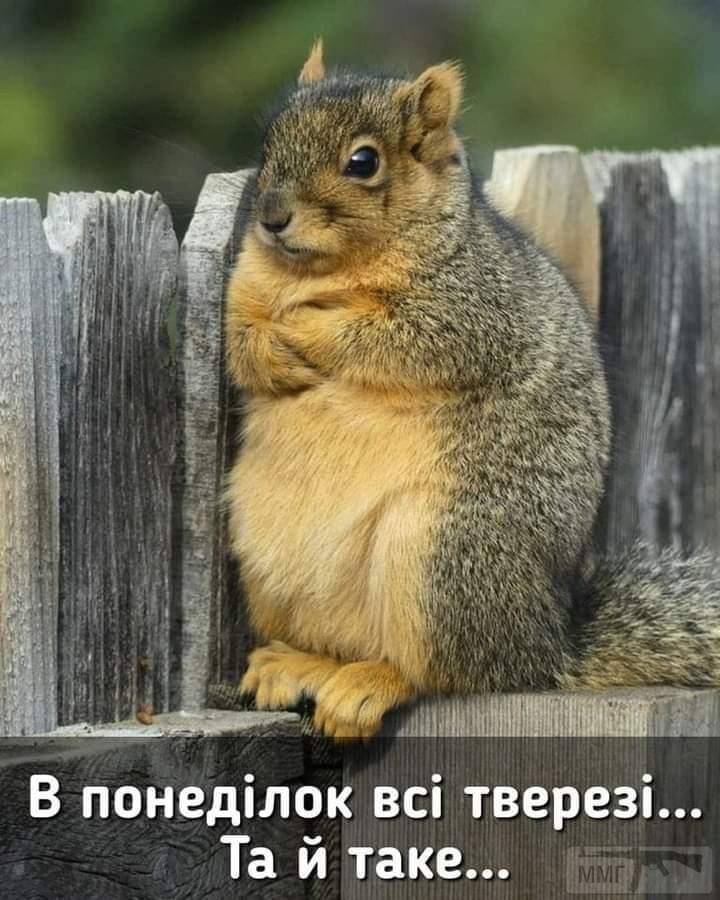 144184