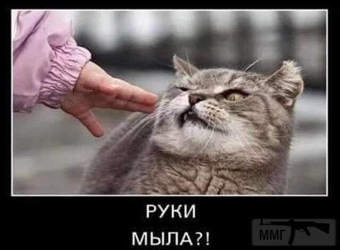 144515
