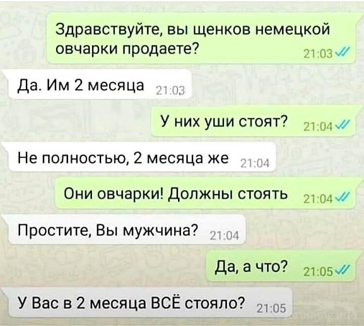 144581