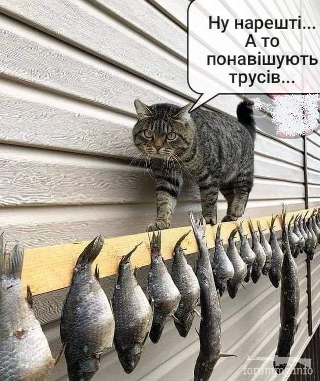 144892