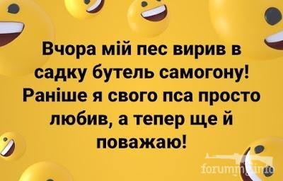 113753 - Пить или не пить? - пятничная алкогольная тема )))