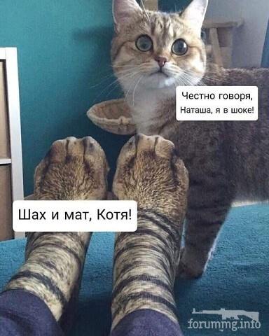 145991