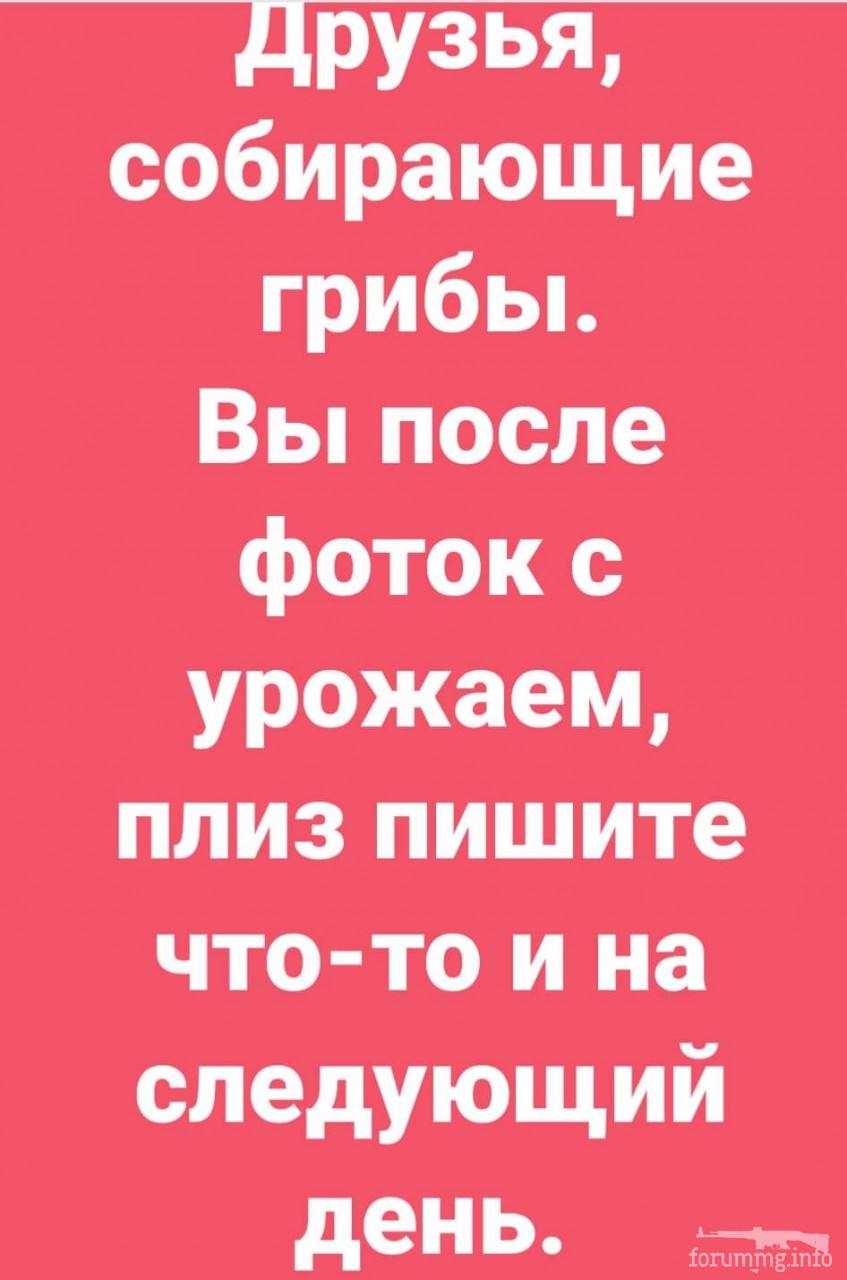 114566 - Анекдоты и другие короткие смешные тексты