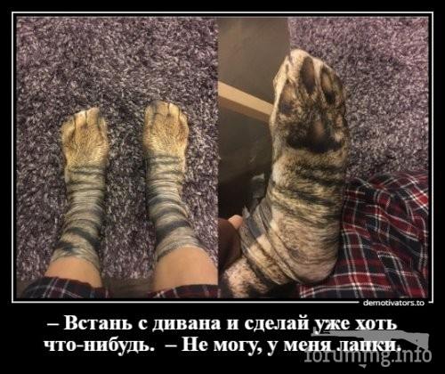 146554