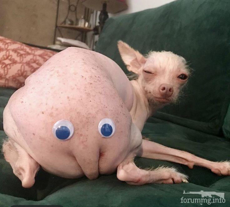 146581