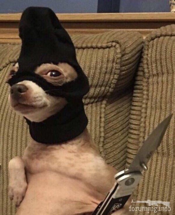 146582