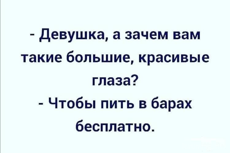 146733
