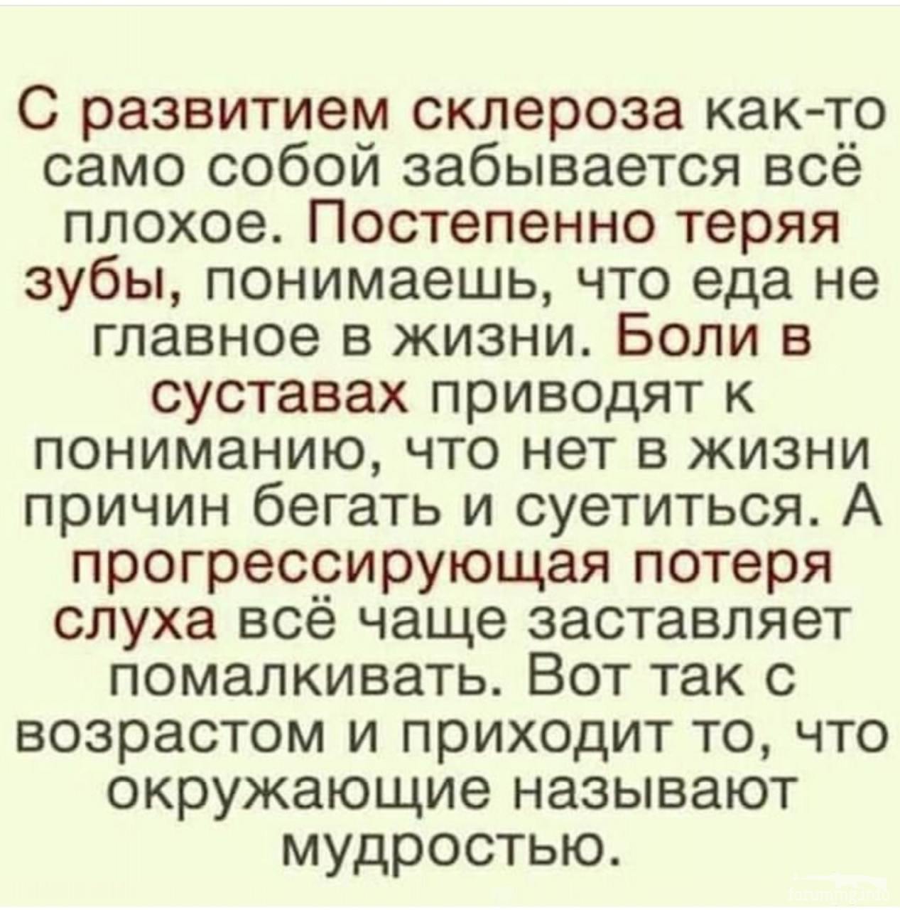 115203 - Адский циник!
