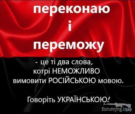 115280 - Копарські дні і будні.