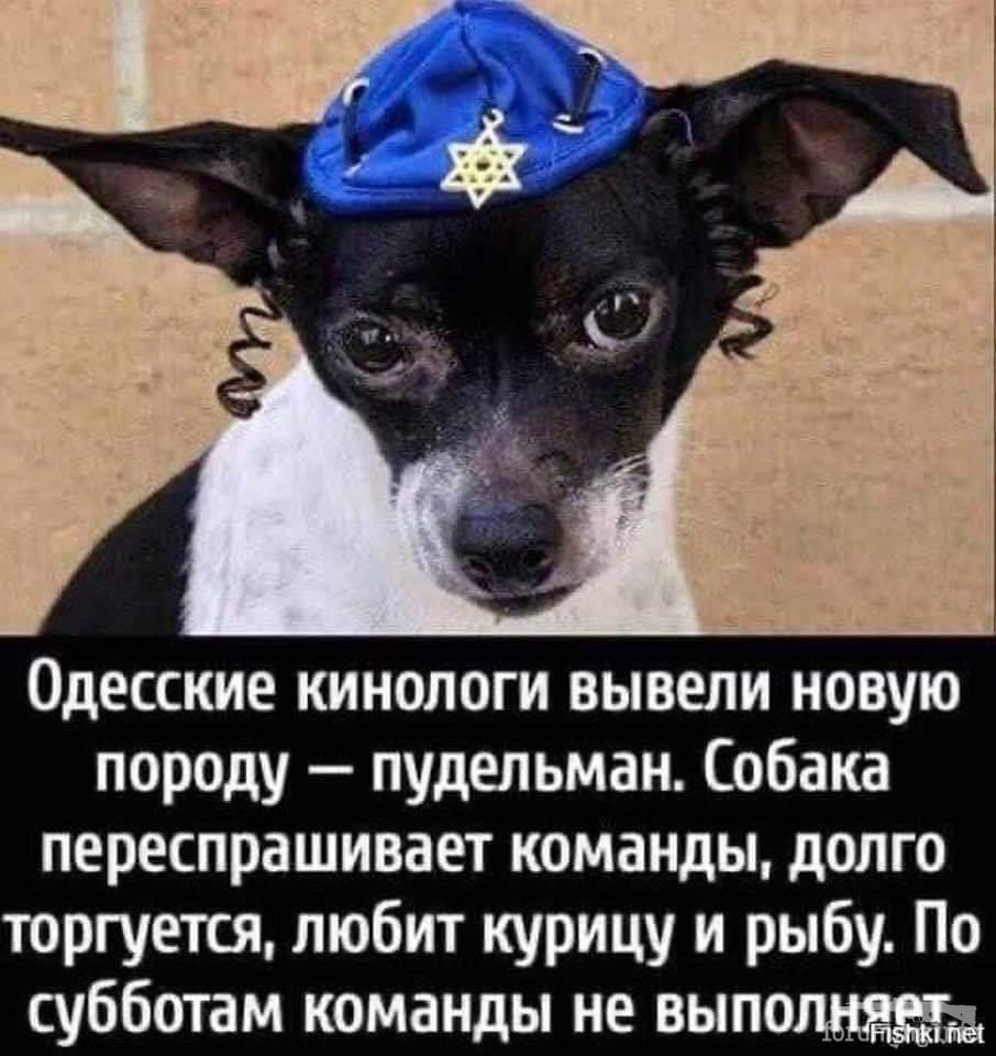 147796