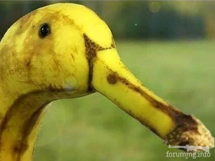 147797