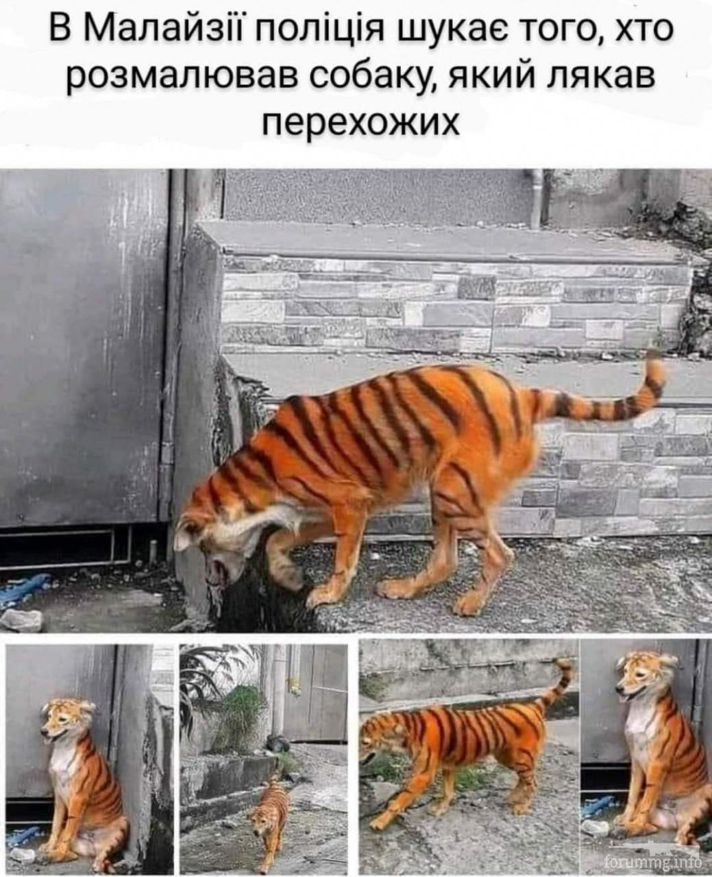 147799