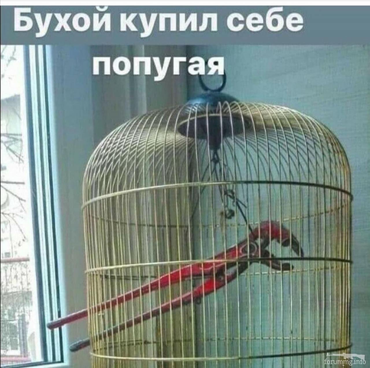 148067