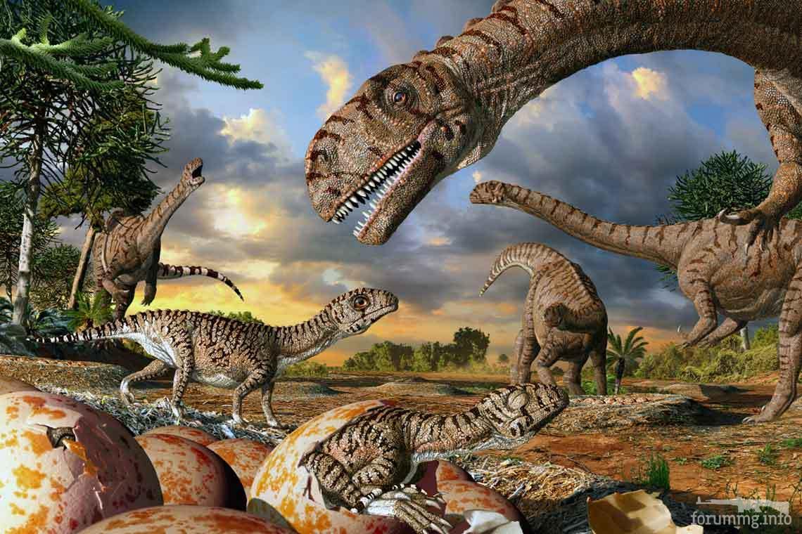 116054 - Динозавры, мамонты и всякие трилобиты - тема о палеонтологии