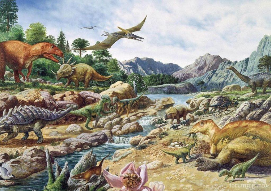 116055 - Динозавры, мамонты и всякие трилобиты - тема о палеонтологии