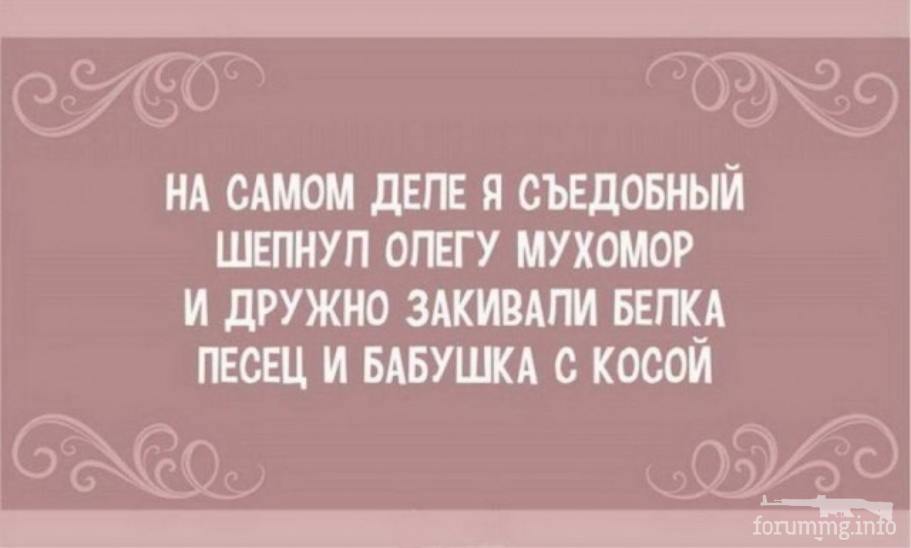 116401 - Адский циник!