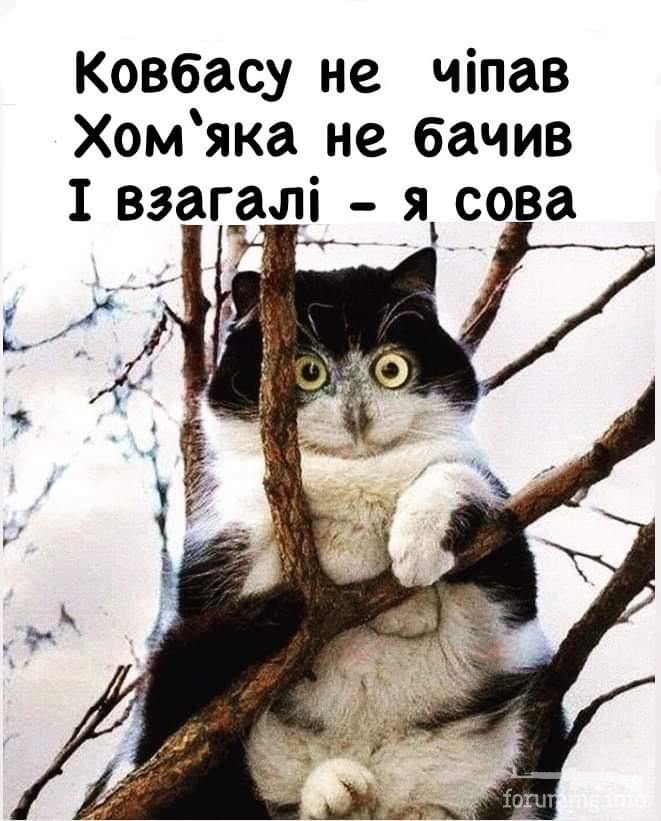 149341