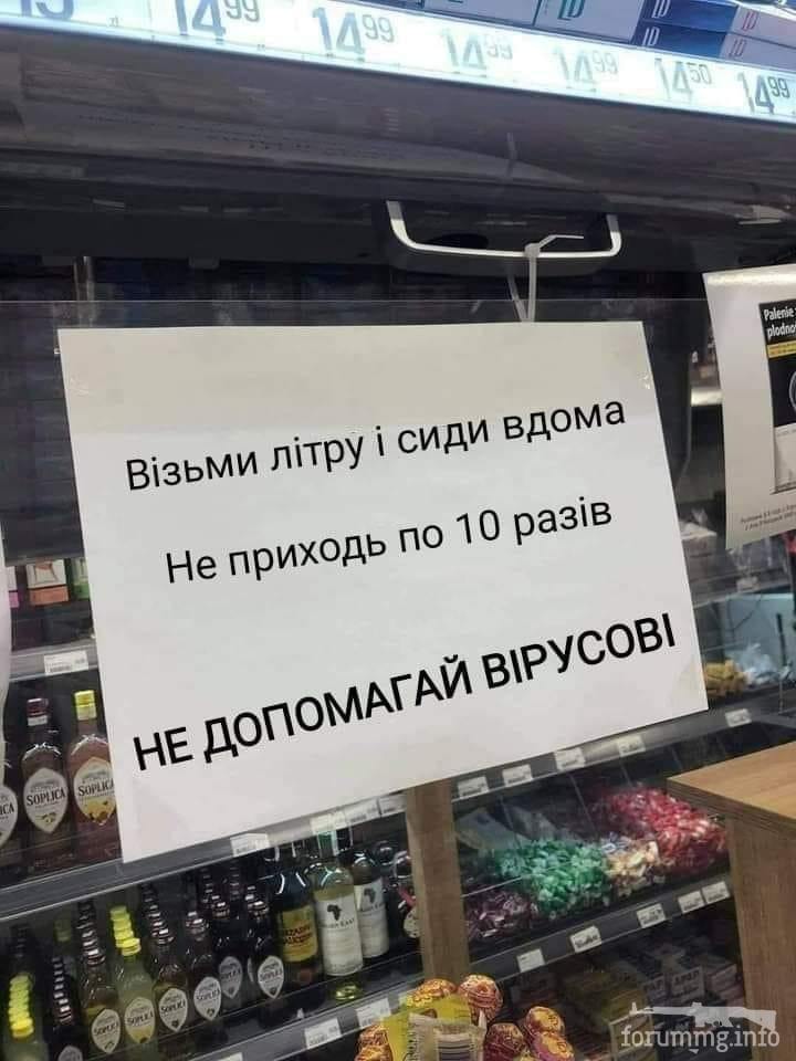 116687 - Пить или не пить? - пятничная алкогольная тема )))