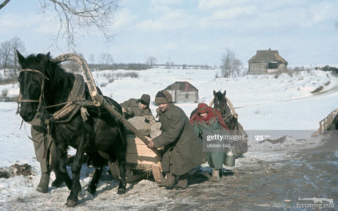 116729 - Военное фото 1941-1945 г.г. Восточный фронт.