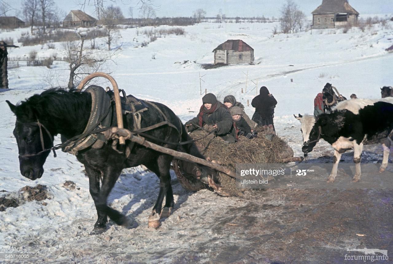 116730 - Военное фото 1941-1945 г.г. Восточный фронт.