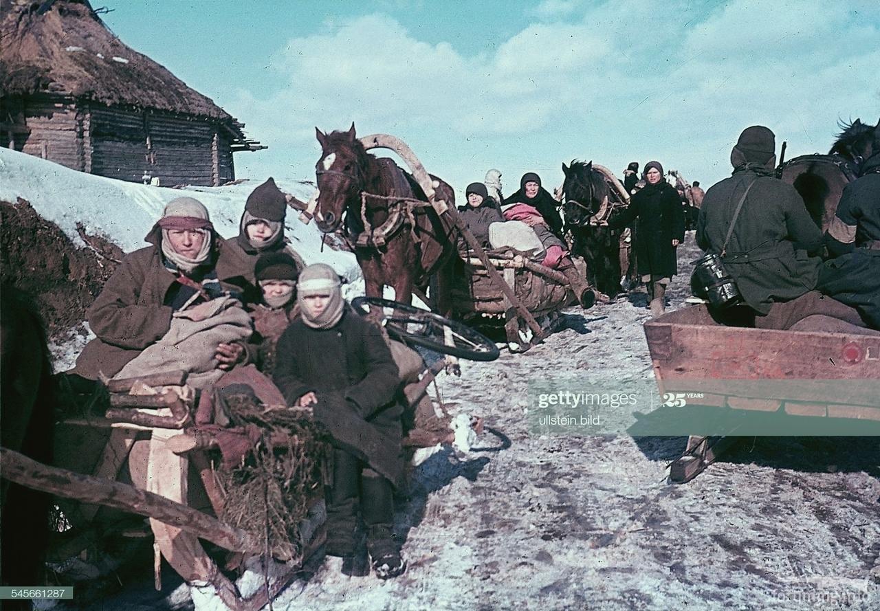 116732 - Военное фото 1941-1945 г.г. Восточный фронт.