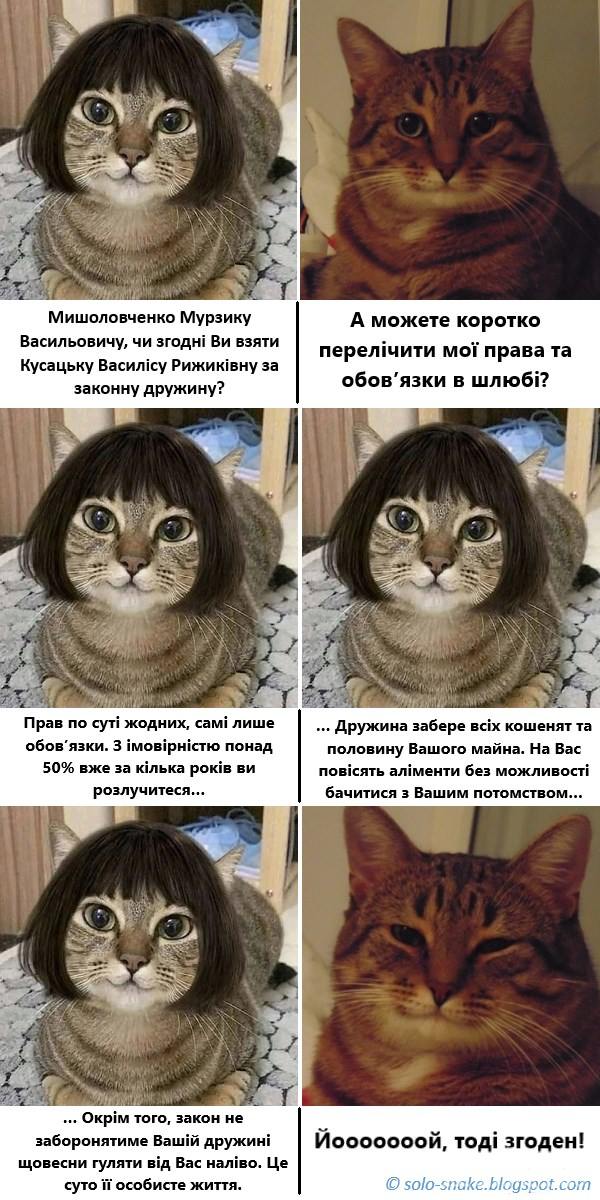 116788 - Отношения между мужем и женой.