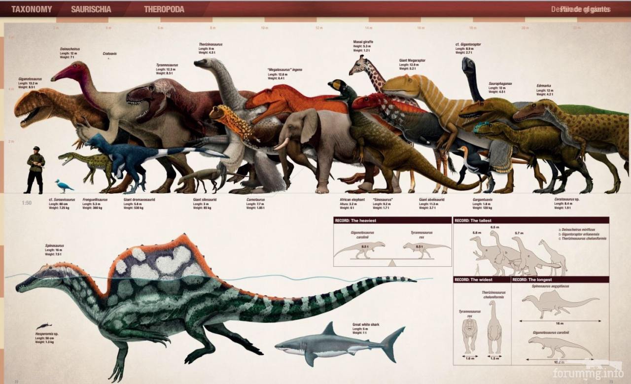 116814 - Динозавры, мамонты и всякие трилобиты - тема о палеонтологии