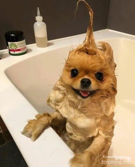 149626
