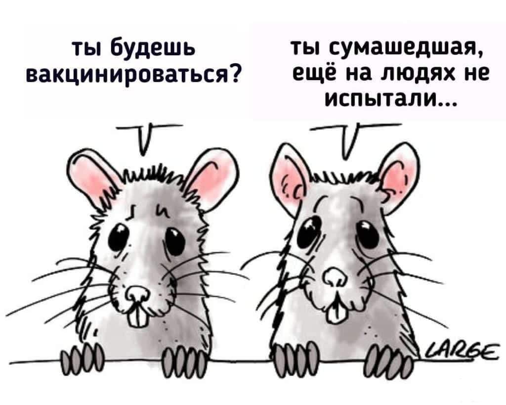 117047 - Адский циник!