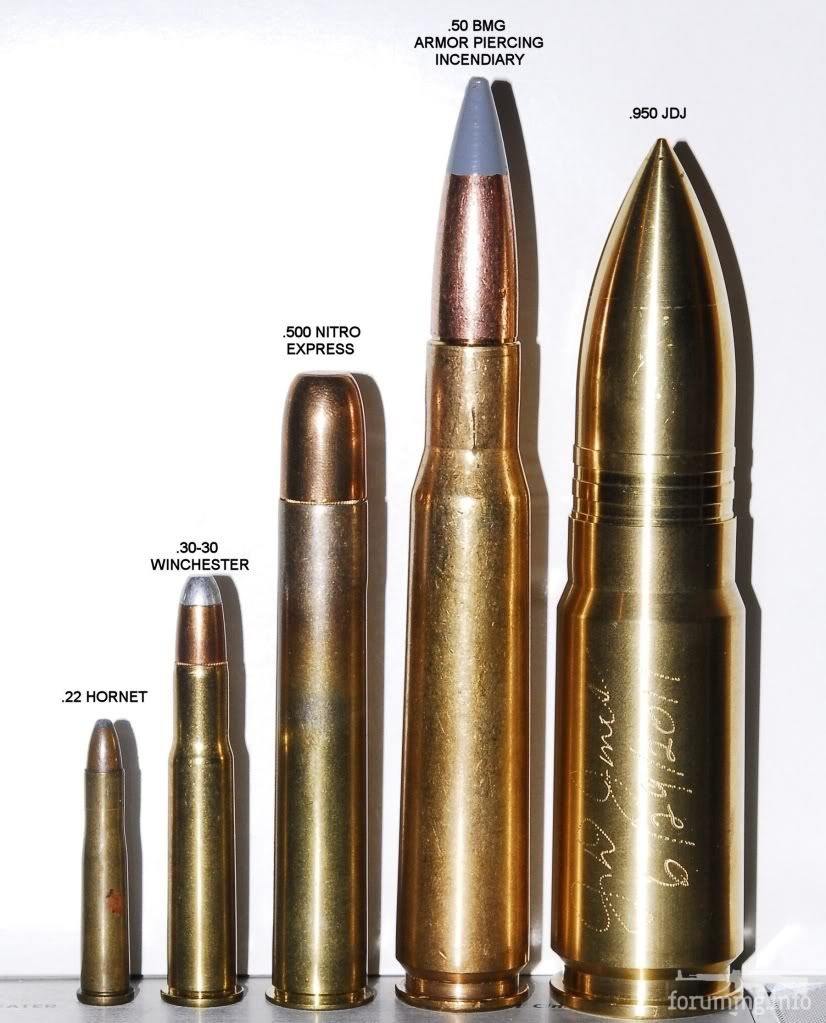 44 Magnum Vs 50 Cal Telegraph