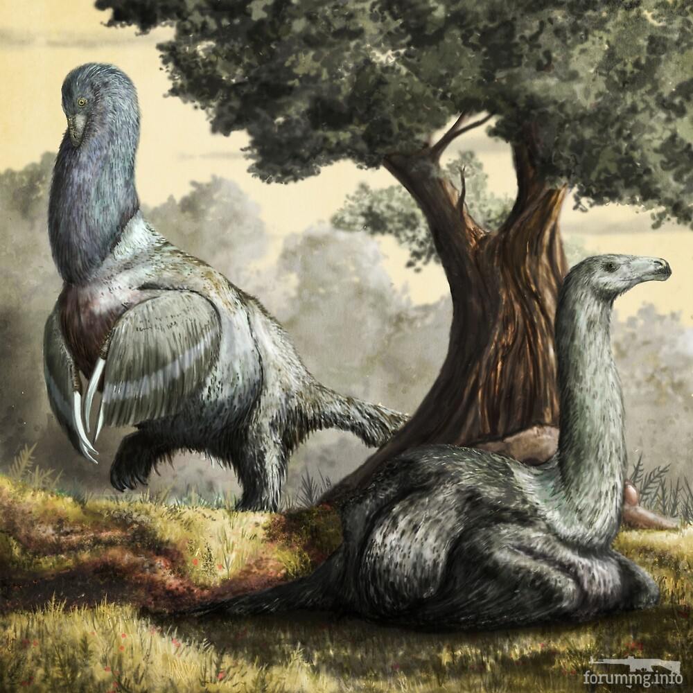 117264 - Динозавры, мамонты и всякие трилобиты - тема о палеонтологии