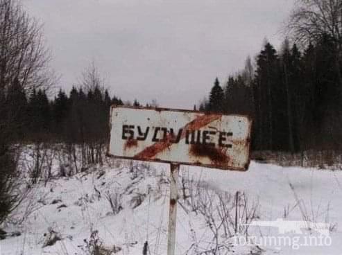 117311 - Адский циник!