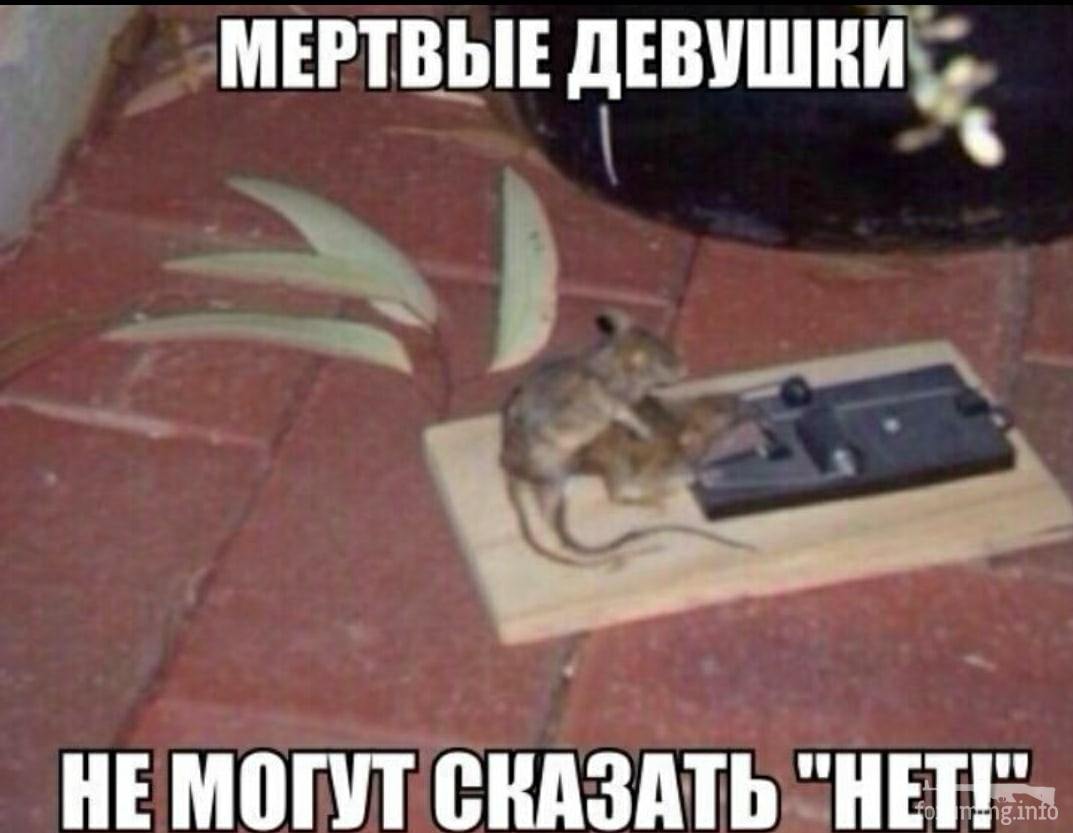 117316 - Адский циник!