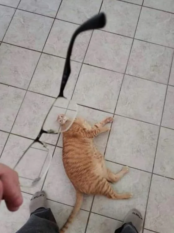 150588