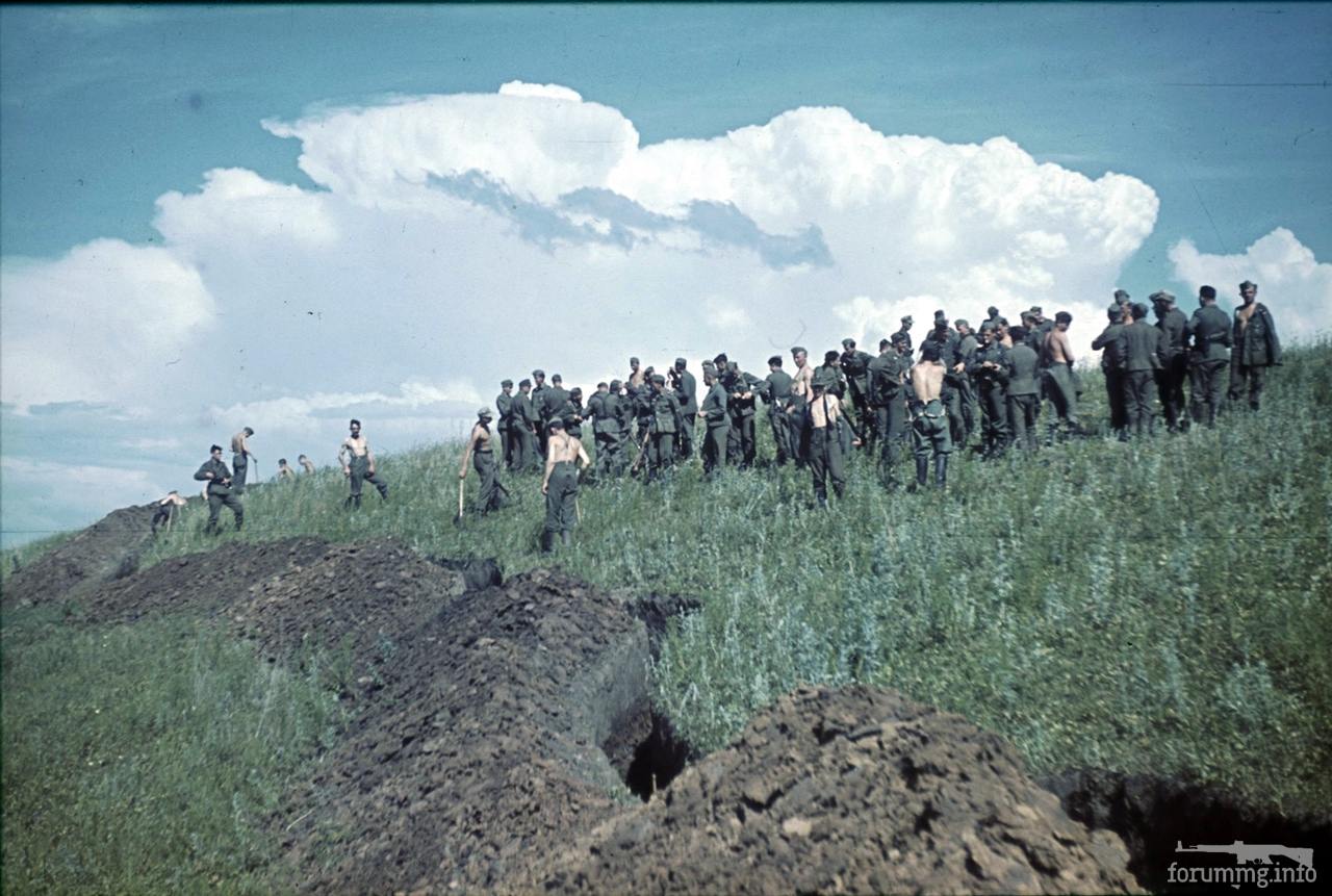 118093 - Военное фото 1941-1945 г.г. Восточный фронт.