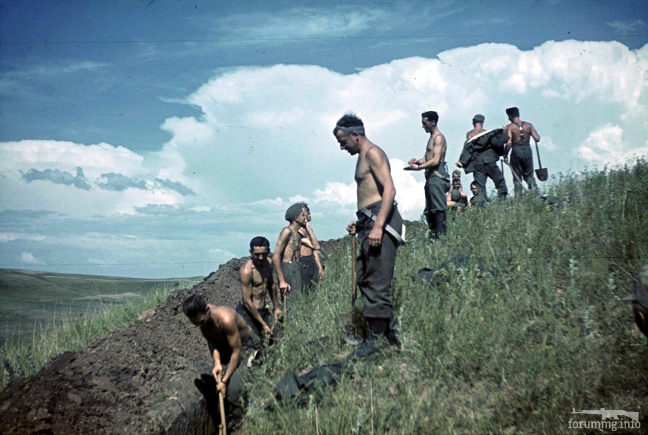 118095 - Военное фото 1941-1945 г.г. Восточный фронт.