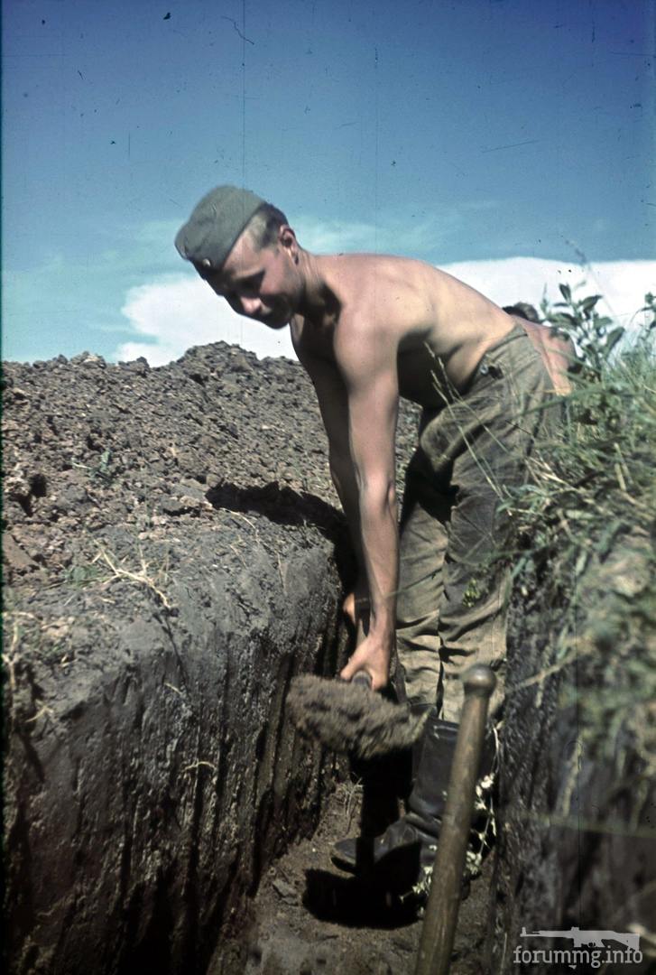 118096 - Военное фото 1941-1945 г.г. Восточный фронт.