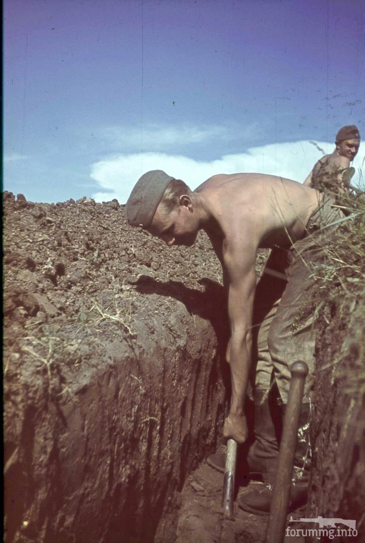 118097 - Военное фото 1941-1945 г.г. Восточный фронт.