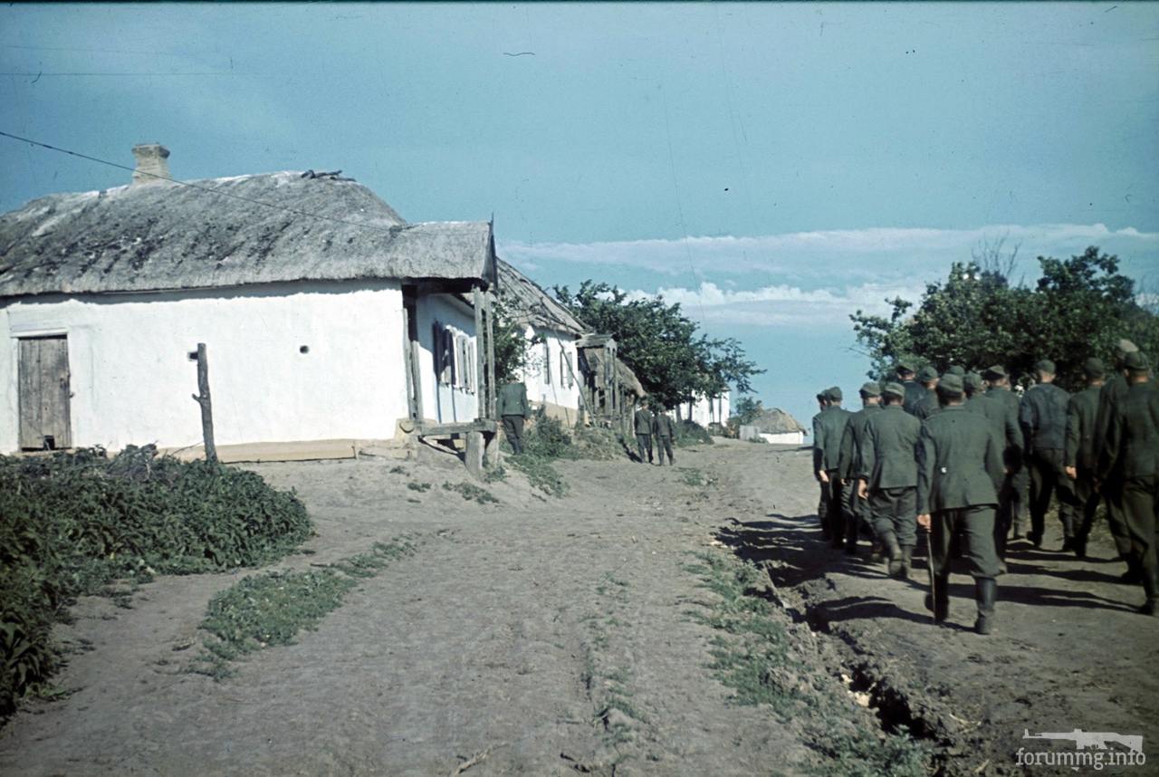 118166 - Военное фото 1941-1945 г.г. Восточный фронт.