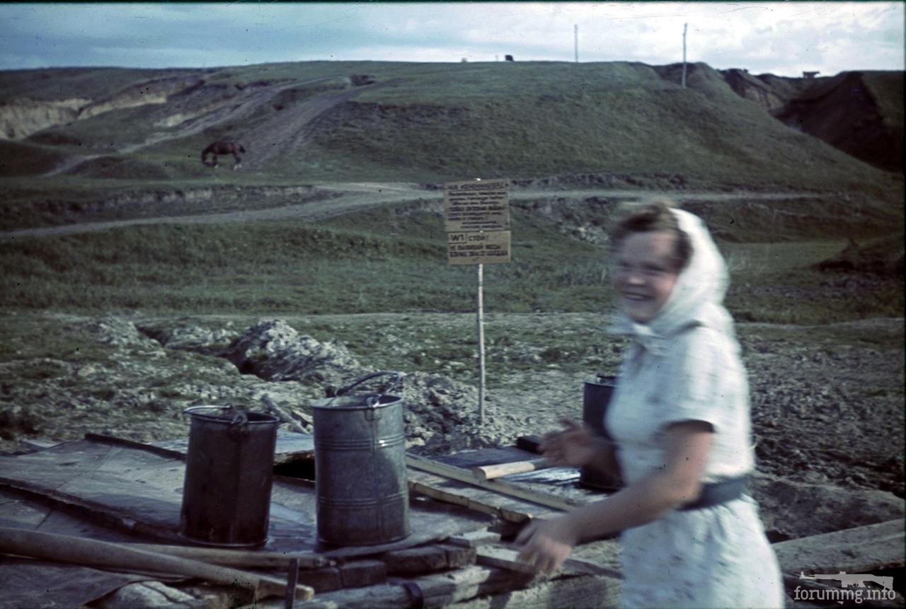 118168 - Военное фото 1941-1945 г.г. Восточный фронт.