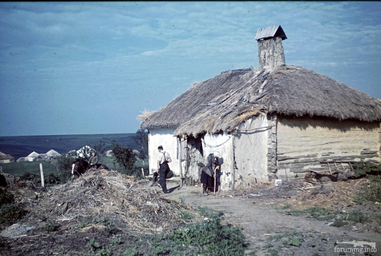 118170 - Военное фото 1941-1945 г.г. Восточный фронт.