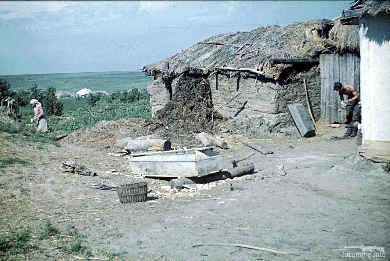 118171 - Военное фото 1941-1945 г.г. Восточный фронт.