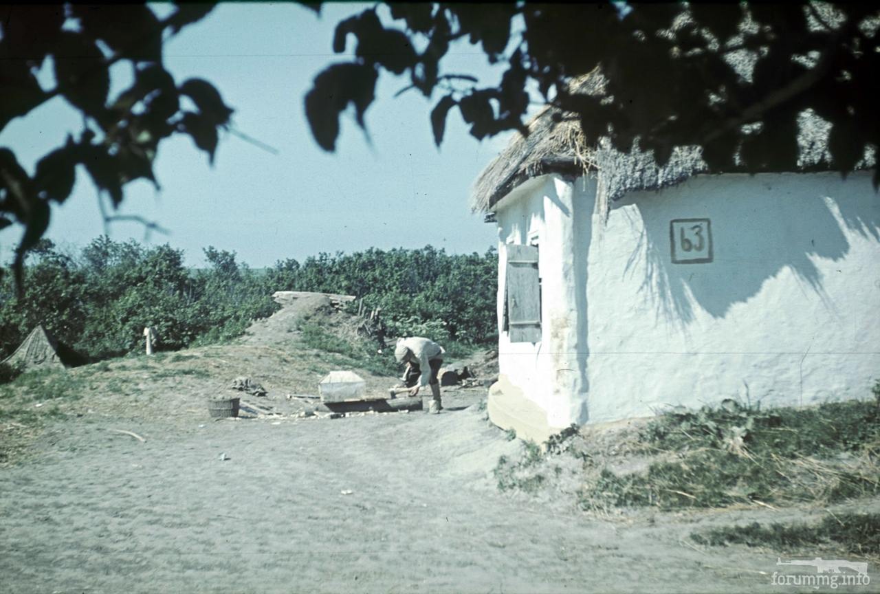 118172 - Военное фото 1941-1945 г.г. Восточный фронт.