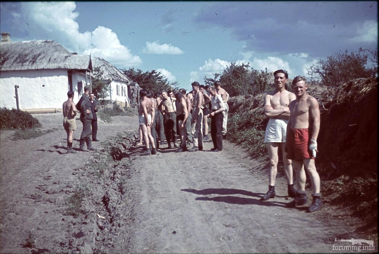 118175 - Военное фото 1941-1945 г.г. Восточный фронт.