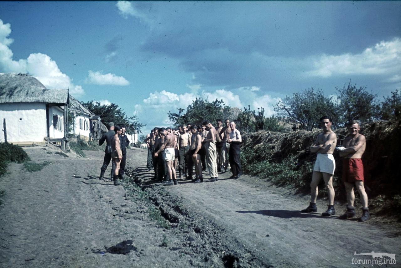 118176 - Военное фото 1941-1945 г.г. Восточный фронт.