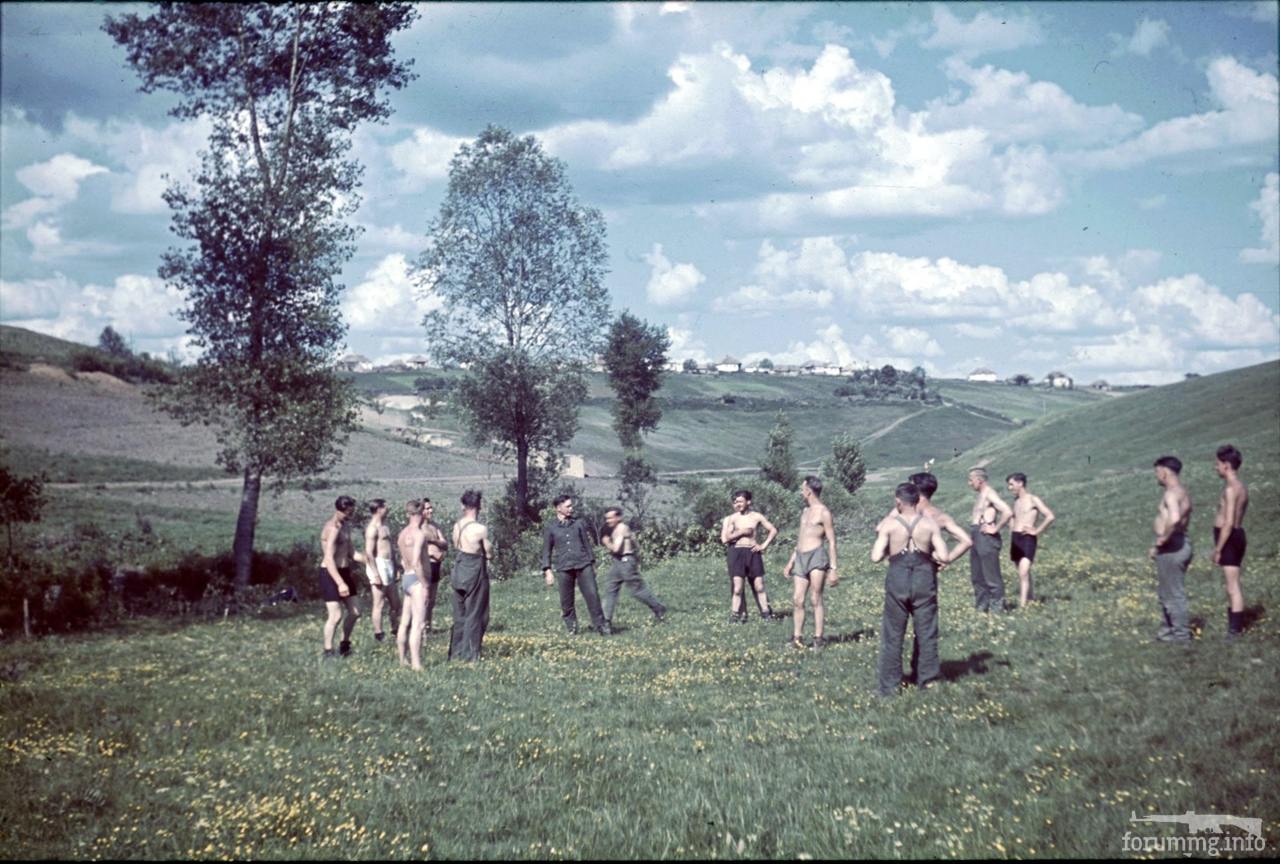 118177 - Военное фото 1941-1945 г.г. Восточный фронт.