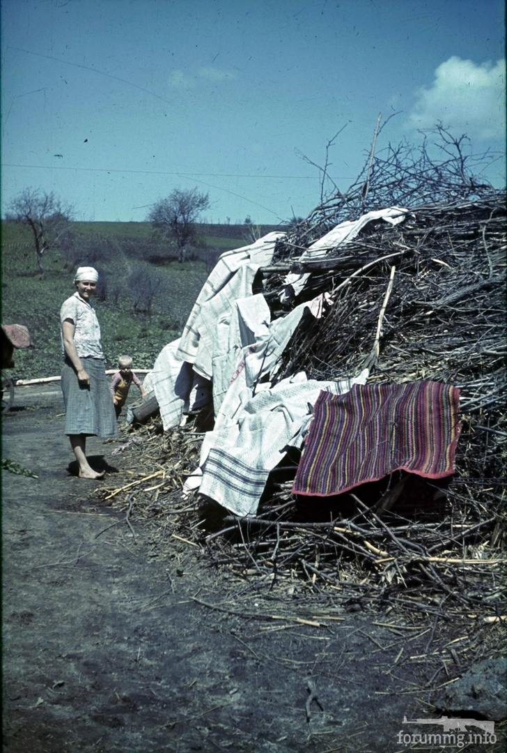 118186 - Военное фото 1941-1945 г.г. Восточный фронт.