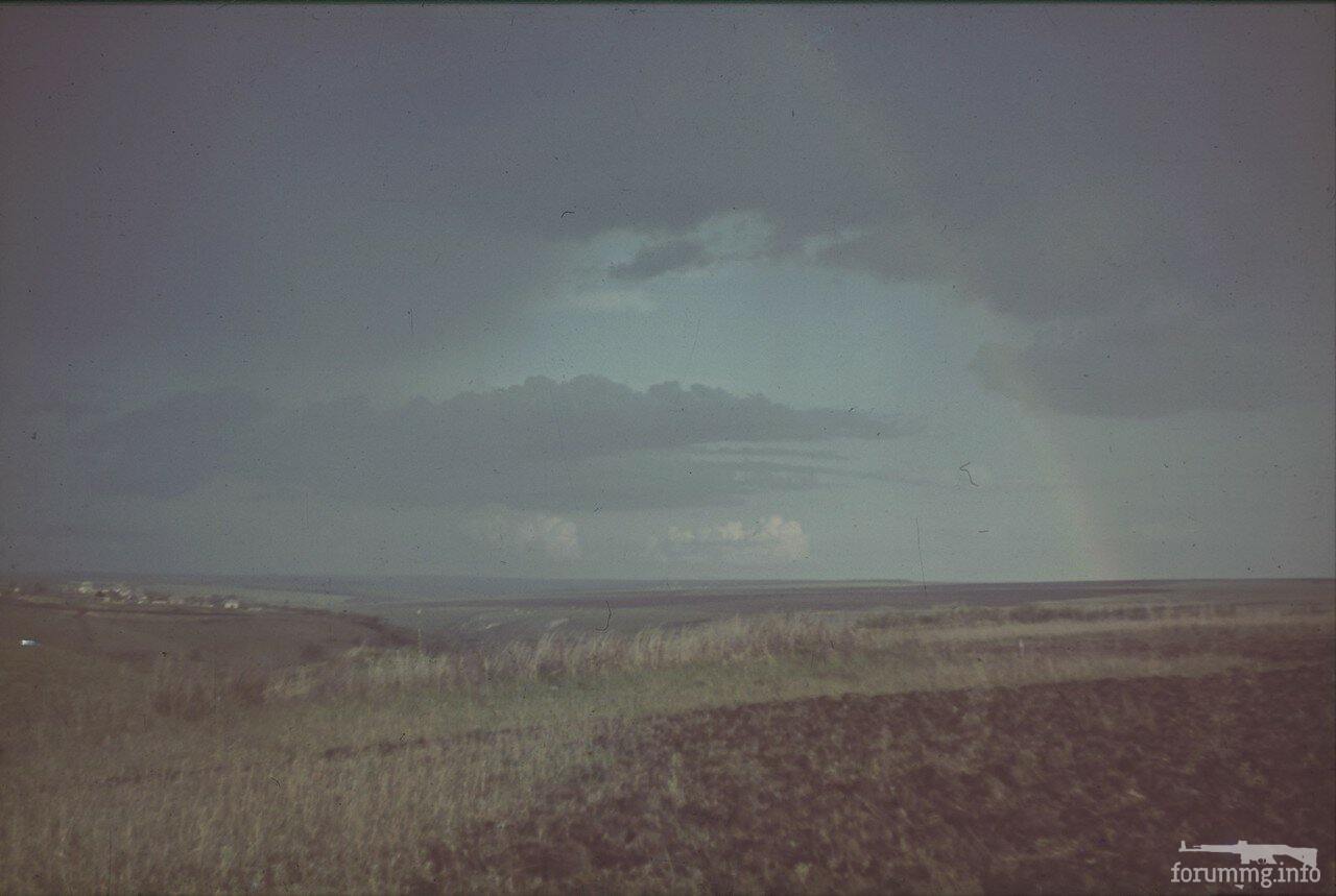 118194 - Военное фото 1941-1945 г.г. Восточный фронт.