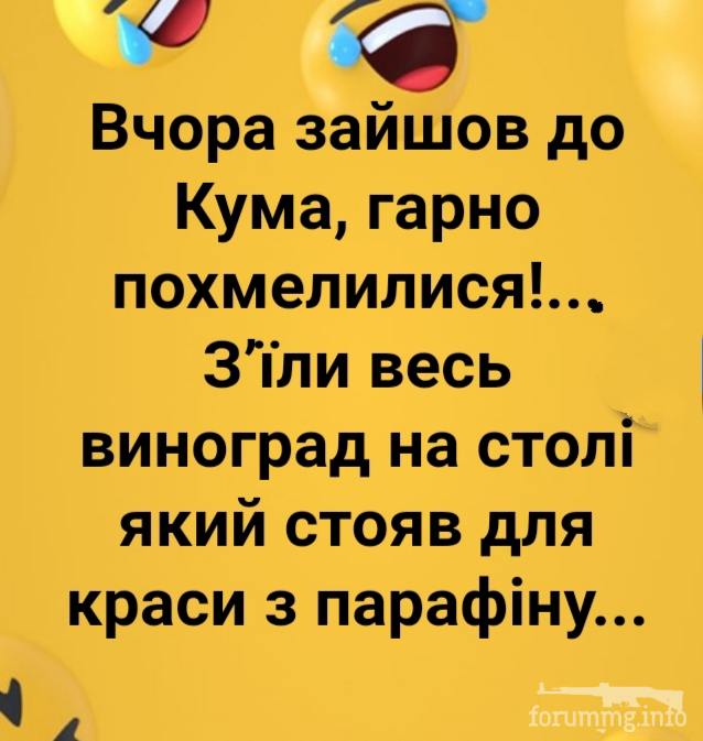 118724 - Пить или не пить? - пятничная алкогольная тема )))