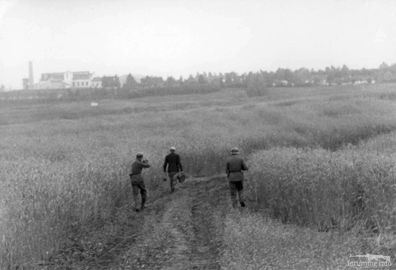 118873 - Лето 1941г,немецкие фото.